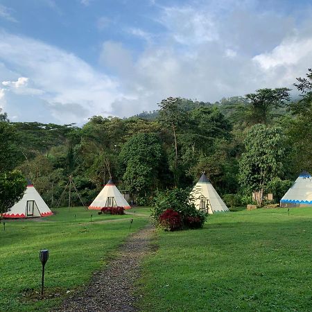 Bosque De Aventura & Glamping Refugio Del Bosque Hotel Ла Меса Екстериор снимка