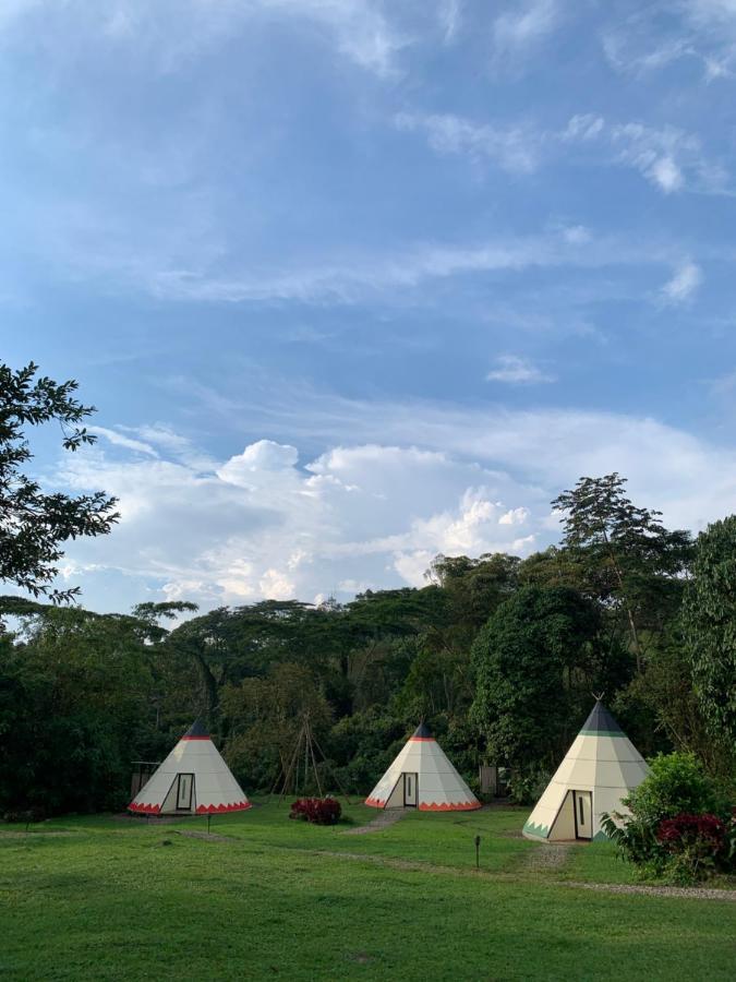 Bosque De Aventura & Glamping Refugio Del Bosque Hotel Ла Меса Екстериор снимка