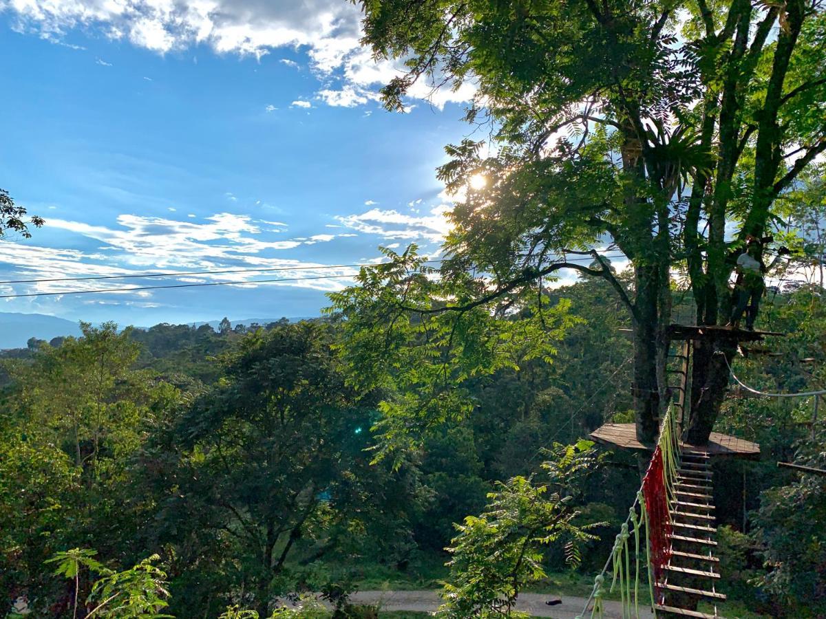 Bosque De Aventura & Glamping Refugio Del Bosque Hotel Ла Меса Екстериор снимка